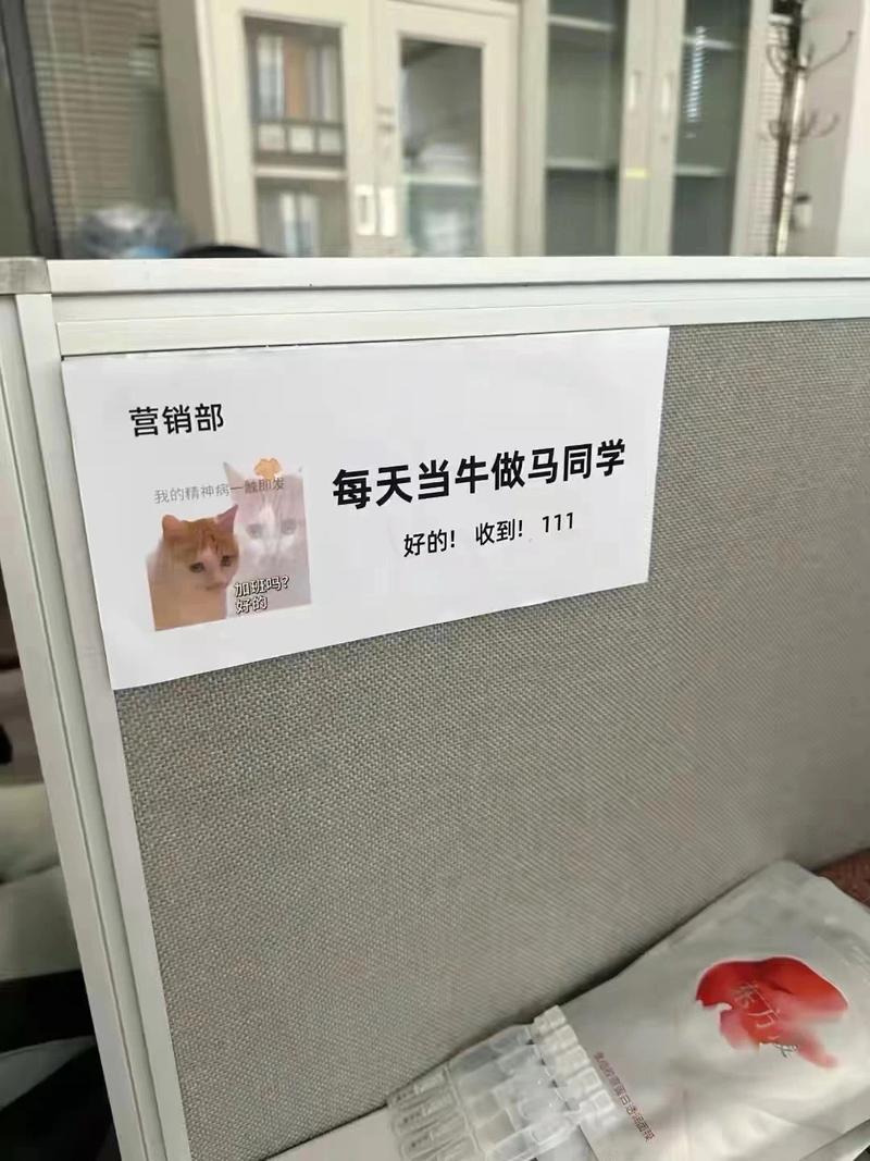 表情包加姓氏谐音耿名可…#情报-搞钱线报📢论坛-网创交流-优创圈